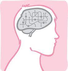 After a week, the detox is complete. Biology Of Addiction Nih News In Health