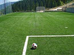 Pin By Federico Piano On Personal Dreams Soccer Field Backyard Soccer