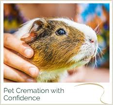 For more information, please contact our office to discuss specific products and pricing. Silvermere Haven Pet Cemetery And Crematorium