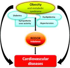 Novel Invasive And Noninvasive Cardiac Specific Biomarkers In Obesity And Cardiovascular Diseases Metabolic Syndrome And Related Disorders
