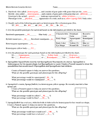 Use information from pigeon breeding: 29 Bikini Bottom Genetics Worksheet Free Worksheet Spreadsheet