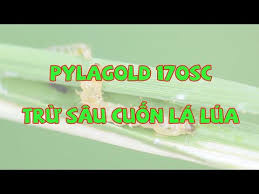 Pylagold 170SC