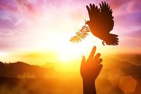 El espíritu santo es una de las tres divinas personas que conforman la santísima trinidad. Orar En El Espiritu Santo La Oracion