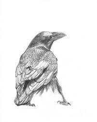 Pin On Ravens