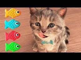 Fun Pet Care Game Cute Kitten Alone At Home Little Kitten My Favorite Cat Cartoon Kids Games Youtube Cute Kitten Gif Kittens Cutest Little Kittens