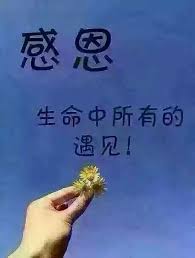 ãææ©ãçåçæå°çµæ