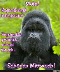 Whatsapp glückwünsche und facebook bilder mit sprüchen zum geburtstag, zur hochzeit, zum hochzeitstag und zu vielen anderen ereignissen. Morgens Hab Ich Fast Immer Gute Laune Lustige Bilder Spruche Witze Echt Lustig
