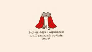 كلام مضحك عن البرد القارس ليدي بيرد