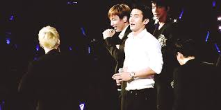 Super junior decided on the name elf (everlasting friends) as the name for the group's fans around the world. Kpop Idol Suju Siwon Gif On Gifer By Lairdin