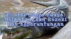 Mimpi dikejar buaya saja tidak mau bagaimana jika benar dikejar dalam dunia nyata, pasti sunggung menakutkan. 15 Arti Mimpi Buaya Melambangkan Rezeki Dan Keberuntungan Youtube