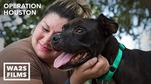 WORLD ANIMAL AWARENESS SOCIETY