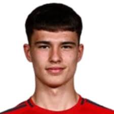 Profile Luis Gardner, Everton U18: Info, news, matches and statistics
