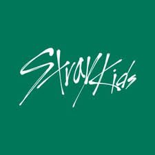 In the the letter 'k' in kids it look like there is the number '4'. Amgihe Learn The Faces Of Stray Kids Members