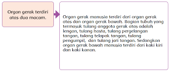 Check spelling or type a new query. Ide Pokok Dan Kalimat Pengembang Bacaan Organ Gerak Manusia Dan Hewan Halaman 4 Laman 2 Heart Id