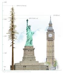 The stratosphere giant was once the tallest tree on earth. The Tallest Tree In The World Hyperion 115 6 Meters 379 4 California Tall Trees Big Tree Sequoia Sempervirens