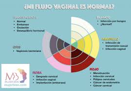 Flujo Vaginal Es Normal Mujer Bien