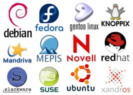 Linux Distribution : A Brief Introduction on Linux Distro