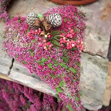Eroffnung Ausstellung Allerheiligen Garten Prentl Allerheiligen Garten Grabbepflanzung