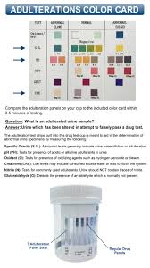12 Panel Drug Test Cup With Bup And Adulterations Identify Diagnostics Clia Waived