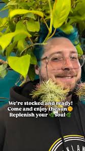 Pedro's pick 👉Bougainvillea! Barbara Karst and San Diego Red  #bougainvillea #spring #berkeley #albany #bayarea #workerowned #shoplocal  #retailtherapy #flowers @matsudasnursery @masternurserybumpercrop  @masternurserygardencenters