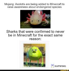 They are modern cultural artifacts that become famous through 'soc. Mojang Axolotls Are Being Added To Minecraft To Raise Awareness About Endangered Species Sharks That Were Confirmed To Never Be In Minecraft For The Exact Same Reason Kapwing