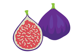 Download Fig Svg Cut File By Creative Fabrica Crafts Creative Fabrica SVG Cut Files