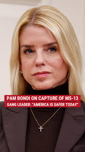 "We didn't need new laws... We needed a new president.", Attorney General  Pam Bondi says "America is safer today" after one of the top three MS-13  gang members was taken into custody.