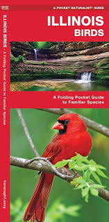 Maybe you would like to learn more about one of these? Illinois Birds A Folding Pocket Guide To Familiar Species Wildlife And Nature Identification Kavanagh James Waterford Press Leung Raymond 9781583551448 Amazon Com Books