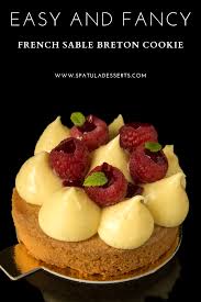 Raspberry Vanilla Sable Breton Recipe In 2020 Fool Proof Recipes Pretty Dessert Raspberry Vanilla