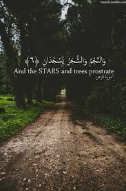 لا اله الا انت سبحانك اني كنت من الظالمين Translation In Urdu Learn Islam Learn Quran Learn Quran Translation Quran Mp3 Quran Explorer Quran Download Qur Beautiful Quran Quotes Islamic Inspirational Quotes Learn Islam