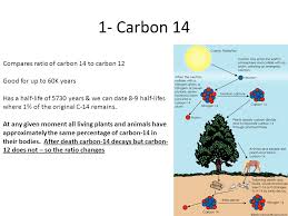 These displaced neutrons, now moving. Dating 1 Radioactive Half Lifes 2 Index Fossils 3 Tree Rings 4 Genetic Ppt Download