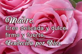 Gracias tía por todas esas veces que me diste tu apoyo cuando mi madre no se encontraba, por haberme tratado como a uno más de tus hijos y por hacerme sentir como en casa estoy muy feliz de tenerte en mi vida y espero que podamos seguir celebrando esta fecha juntas ¡feliz día de la madre! Frases De Feliz Dia Madre Bonitas Tarjetas Para Mama En Su Dia Entre Poemas Cristianos Frases Vivencias Y Cumpleanos
