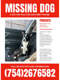 LOST PETS OF METAIRIE AND KENNER