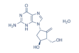 Image result for Entecavir