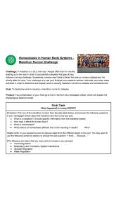 Answered Homeostasis In Human Body Systems Bartleby