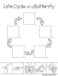 Check spelling or type a new query. Butterfly Life Cycle Cut And Paste Worksheet By Lemons And Literacy