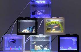 Aquarium berbentuk lego ini mempunyai dimensi 12 x 8 x 10.5 cm. 5 Rekomendasi Aquarium Ikan Cupang Kekinian Yang Unik