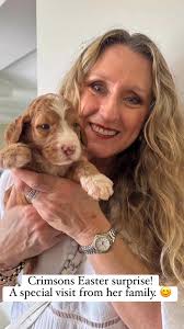 Crimson had a very special Easter surprise today when her family came to  visit. She loved showing off her precious babies and lapped up all the  cuddles. 😊🐶🤍