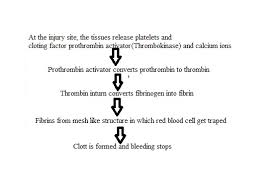 why is blood clotting useful in a flow chart illustrate the four