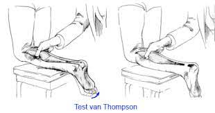 Www Surgeryassistant Nl