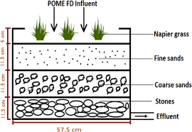 Dark fermentation — is the fermentative conversion of organic. The Effect Of Palm Oil Mill Effluent Final Discharge On The Characteristics Of Pennisetum Purpureum Scientific Reports