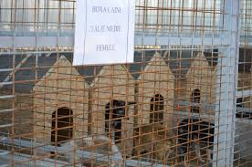 Daca iti doresti sa ai un catel nu doar frumos ci si educat , scoala de dresaj caini utilitari insulty din piatra neamt , iti pune la dispozitie pachete de dresaj pentru catelul tau si anume : Piatra NeamÈ› Are Unul Dintre Cele Mai Moderne AdÄƒposturi Pentru Caini