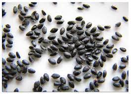 Free delivery and returns on ebay plus items for plus members. Fruit Tree Seeds For Sale High Quality High Yield Dragon Fruit Cactus For Growing Buy Dragon Fruit Cactus Dragon Fruit Cactus Seeds Fruit Tree Seeds Product On Alibaba Com