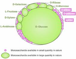 Suggested dosage as polyanionic cellulose is widely known as safe, there is no limit on dosage of intake. Allulose The Low Calorie Carb That Boosts Fat Burning