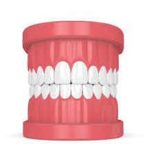 Dec 16, 2015 · 3. Types Of Dentures Their Costs Newmouth