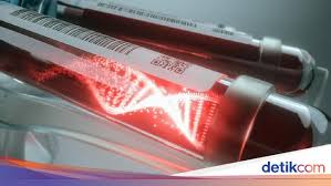 Banyak faedah yang akan diperolehi hasil daripada aktiviti pertanian di bandar sama ada dari segi ekonomi, sosial dan alam sekitar. Ilmuwan Prediksi Disease X Jadi Pandemi Berikutnya