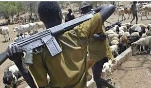 Bandits kill 88 persons in attacks on kebbi communities police. Mcc Ofkthc7rhm