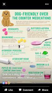 Pin On Dogs Treats And Cats