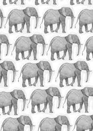 Elephant Wallpapers For Iphone Group 62 A collection of the top 67 elephant wallpapers and backgrounds available for download for free. elephant wallpapers for iphone group 62
