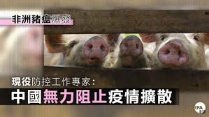 Image result for 中國豬瘟地圖